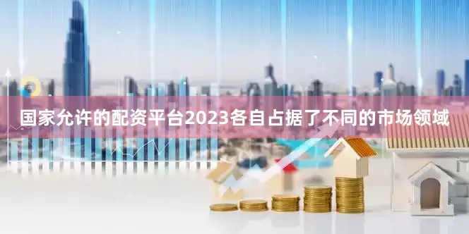 国家允许的配资平台2023各自占据了不同的市场领域